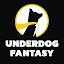 Underdog Fantasy Sports icon