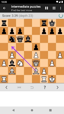 Chess Tactics Pro (Puzzles) screenshots