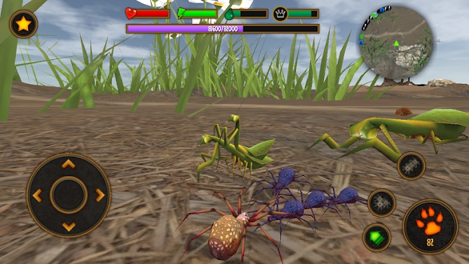 Life of Spider screenshots