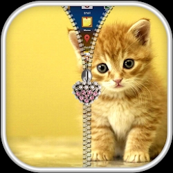 Kitty Cat Zipper Lock Screen