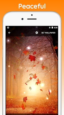 Autumn Live Wallpaper screenshots