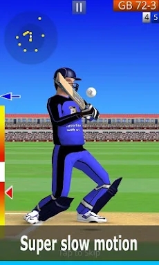 Smashing Cricket: cricket game screenshots