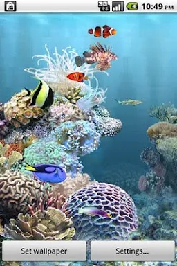 aniPet Aquarium LiveWallpaper screenshots