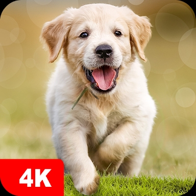 Dog Wallpapers & Puppy 4K screenshots