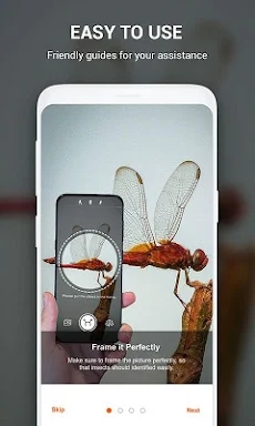 Insect identifier by Photo Cam screenshots