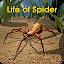 Life of Spider icon