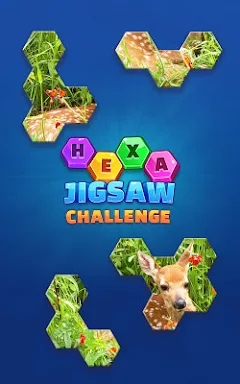 Hexa Jigsaw Challenge screenshots