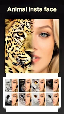 Beauty Face Plus :  face morph screenshots