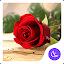 Red rose love - APUS Launcher  icon