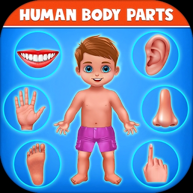Human Body Parts - Kids Games screenshots