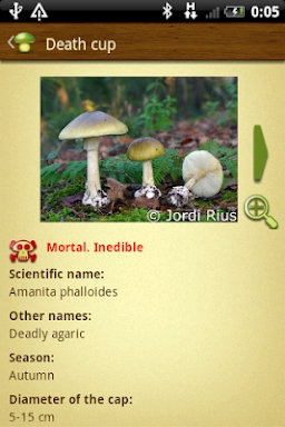 Mushroom - Mushtool screenshots