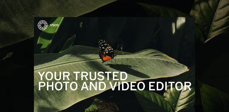 VSCO: Photo & Video Editor screenshots