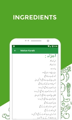 Pakistani Recipes in Urdu 2023 screenshots