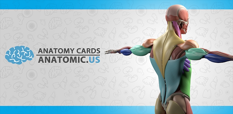 Anatomy Cards Anatomicus screenshots