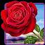 Rose. Magic Touch Flowers icon