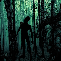 Horror Forest | Horror Game