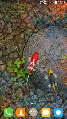 Water Garden Live Wallpaper screenshots