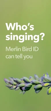 Merlin Bird ID by Cornell Lab screenshots
