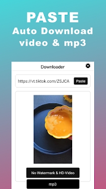 Snaptik -Download Video Tiktok screenshots