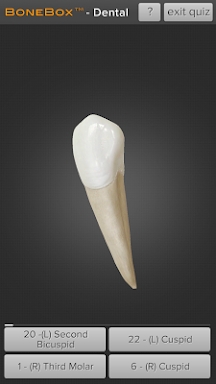 BoneBox™ - Dental Lite screenshots