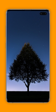 Tree Wallpapers Nature : 4k&HD screenshots