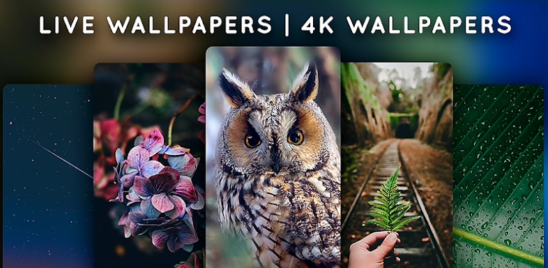 Live Wallpapers, 4K Wallpapers screenshots