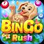 Bingo Rush - Club Bingo Games icon
