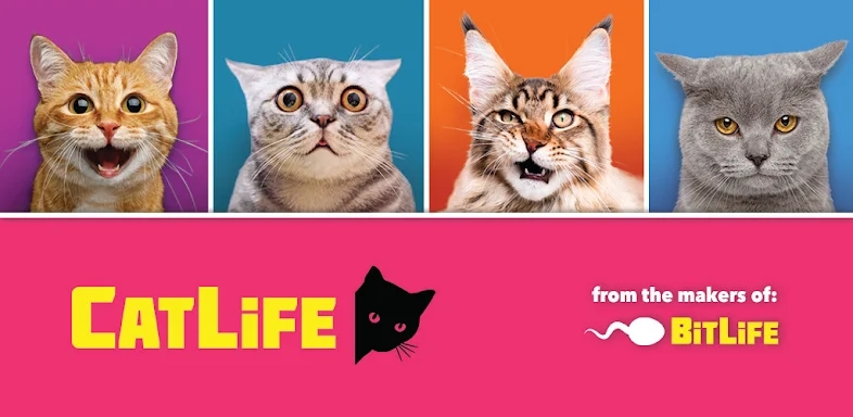 BitLife Cats - CatLife screenshots