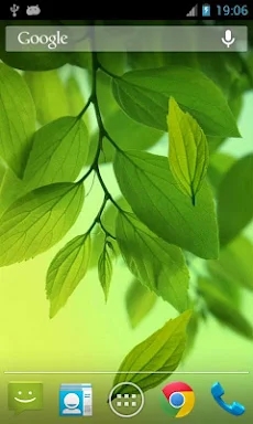 Leaf Live Wallpaper screenshots