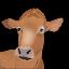 My Cattle Manager - Farm app icon