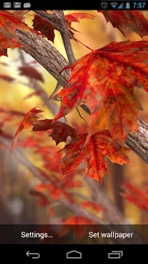 Autumn Tree Free Wallpaper screenshots