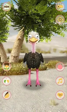 Talking Ostrich screenshots