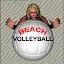 Beach Volleyball Lite icon