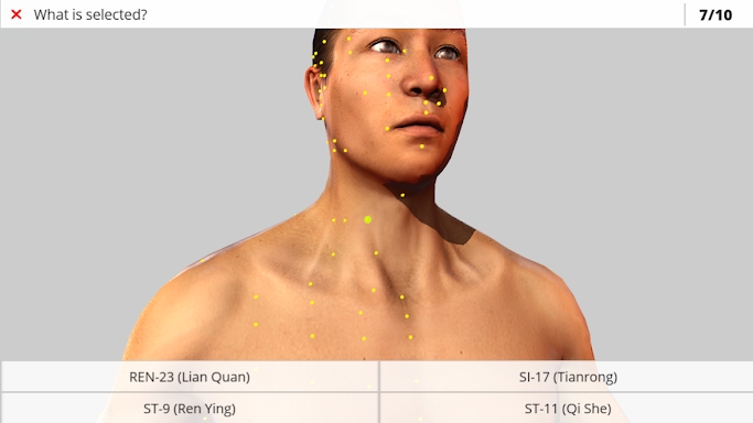 Visual Acupuncture 3D screenshots