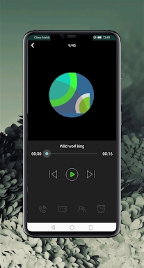 Samsung Galaxy S21 Ringtones screenshots