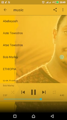 Teddy Afro Top - New Songs Without Internet screenshots