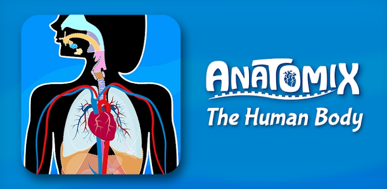 Human Anatomy - Body parts screenshots