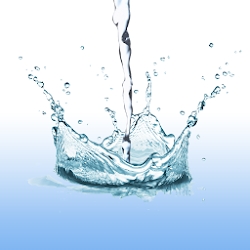 Daily Water Tracker Reminder -