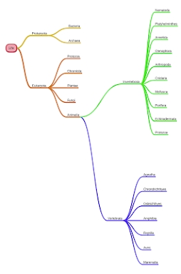 miMind - Easy Mind Mapping screenshots