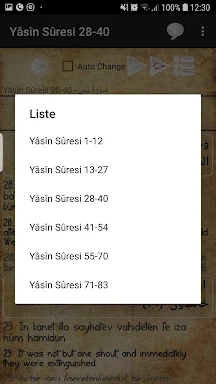 Surah YaSin screenshots