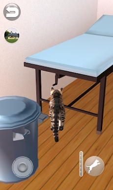 Talking Reality Cat screenshots