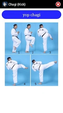 Taekwondo WTF screenshots