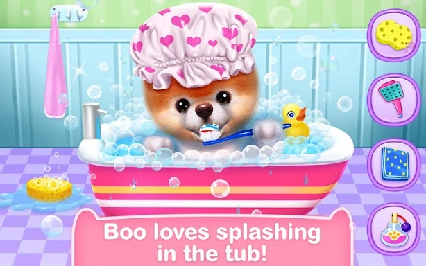 Boo - The World's Cutest Dog screenshots