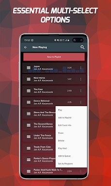 Pi Music Player - Offline MP3 screenshots
