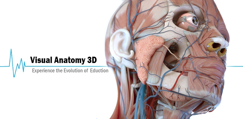 Visual Anatomy 3D screenshots