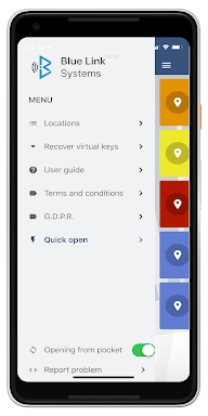 BlueLink Access screenshots