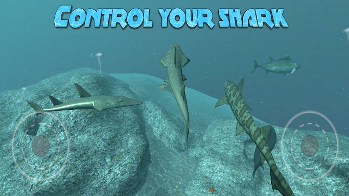 Real Shark Simulator 3D screenshots