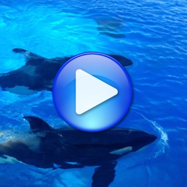 Whales songs to sleep screenshots