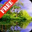 Forest Pond Free icon
