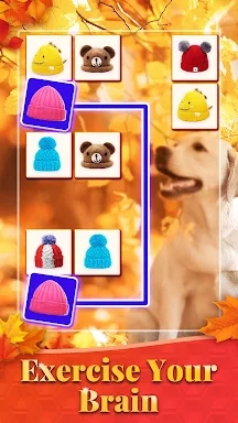 Onet 3D - Puzzle Matching game screenshots